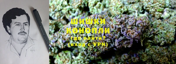 PSILOCYBIN Краснослободск